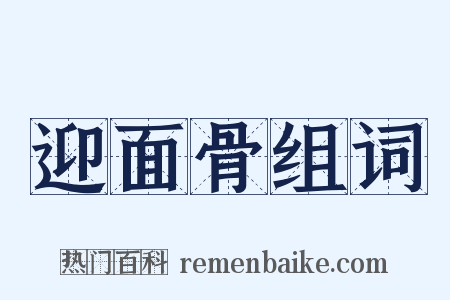 迎面骨组词是什么意思的图片